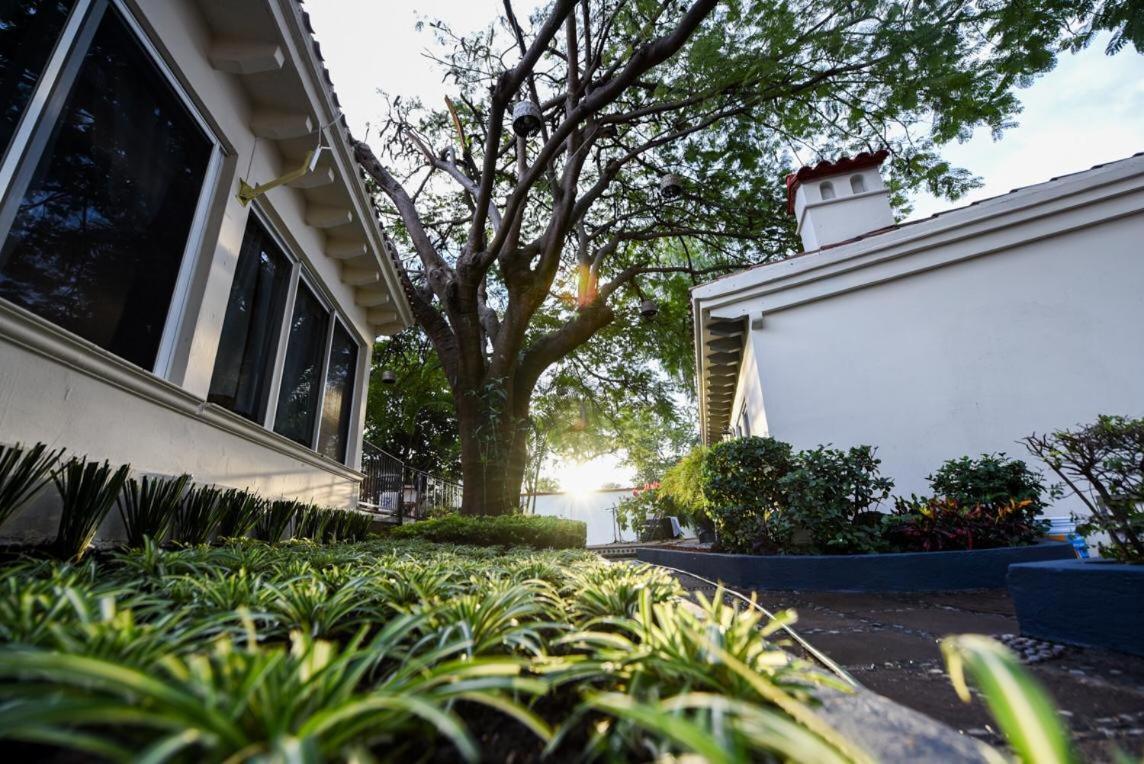 Casa Maria Emilia Hotel Cuernavaca Eksteriør billede